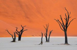 web_deadvlei-1024