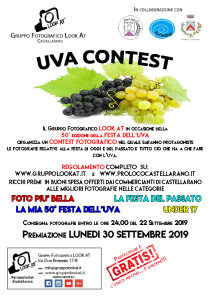 2019_08 - Contest Uva (Web)